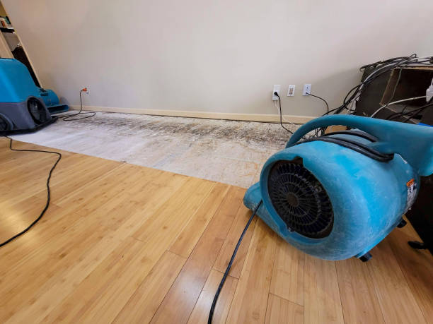 Professional Water Removal technician working in Greenbrier, AR